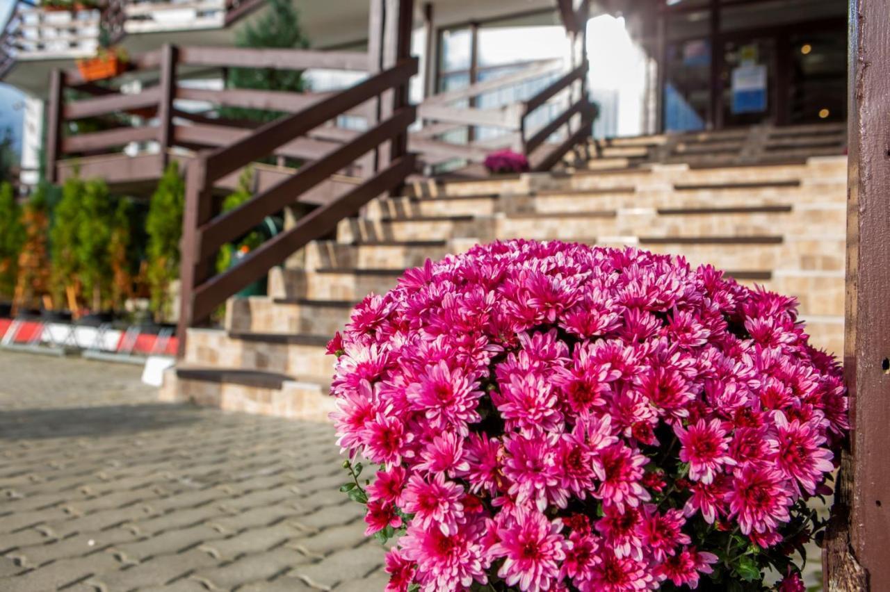 Hotel La Dolce Vita Zărneşti Exterior foto